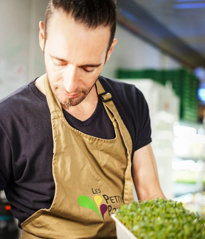 Producteur de micro pousses professionnelles
