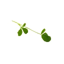 5.webp