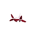 2.webp