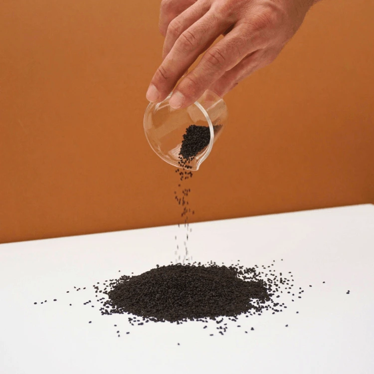 micropousse basilic citron.webp