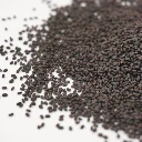 Micro seed basilic pourpre.webp
