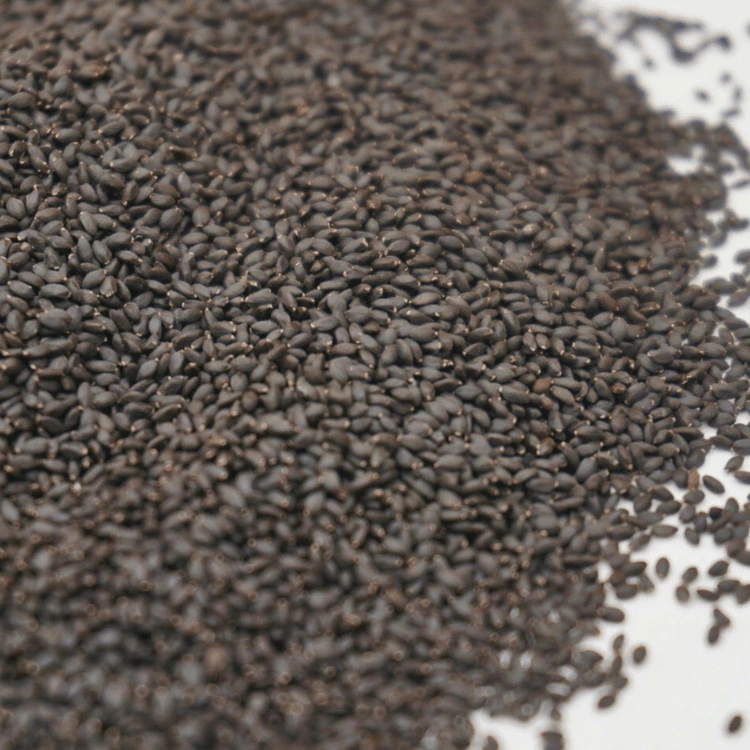 micro seed basilic thai.webp