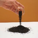 cress basilic thai.webp