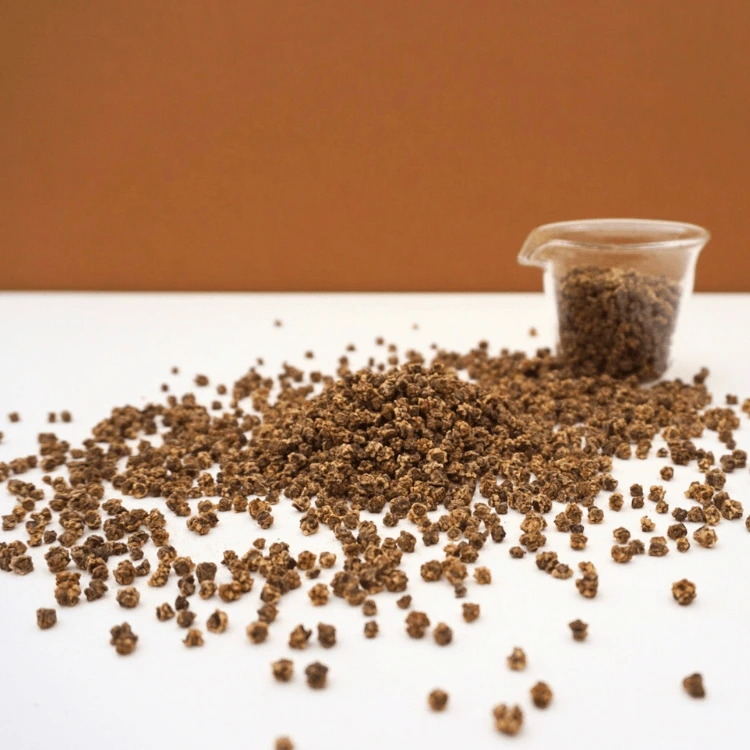 betterave microgreen.webp