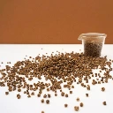 betterave microgreen.webp
