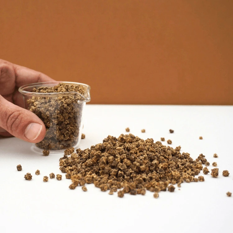 graines de bettterae pour micro pousses.webp