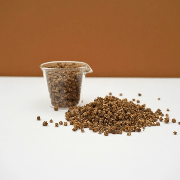 blette tricolore microgreen.webp