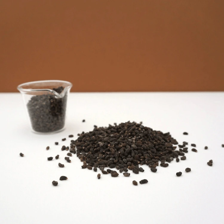 micro cress bourrache.webp
