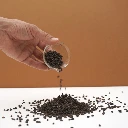 graines de bourrache pour micro green.webp