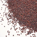 micro seed brocoli.webp