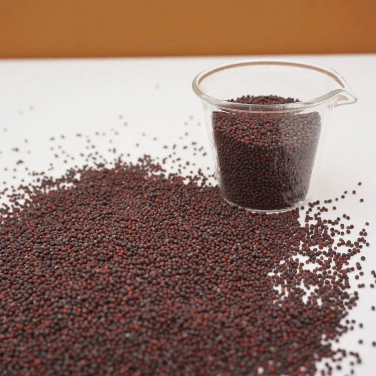 graines pour micropousse brocoli.webp