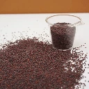 graines pour micropousse brocoli.webp