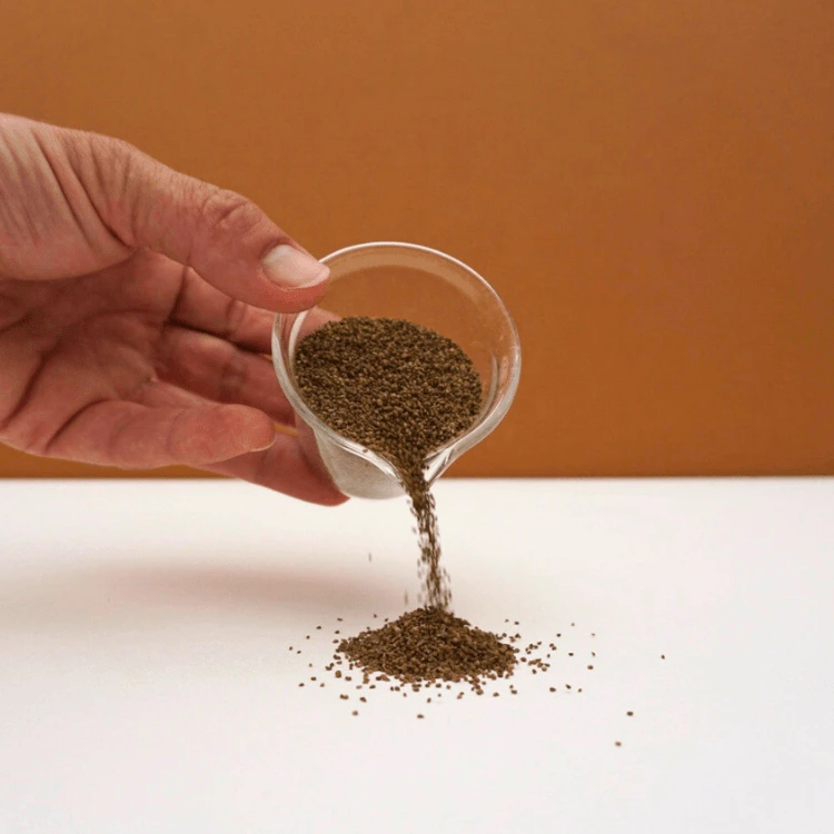 graines pour micro pousse de celeri rave (2).webp