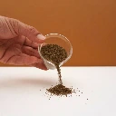graines pour micro pousse de celeri rave (2).webp