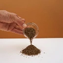 graines pour mciropousse celeri (2).webp