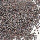 micro cress chou kale.webp