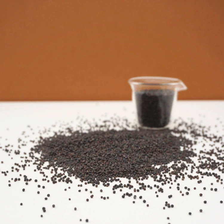 micro green seed chou kale.webp