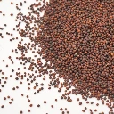 micro pousses chou rouge seed.webp