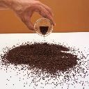 graines micro green chou rouge.webp