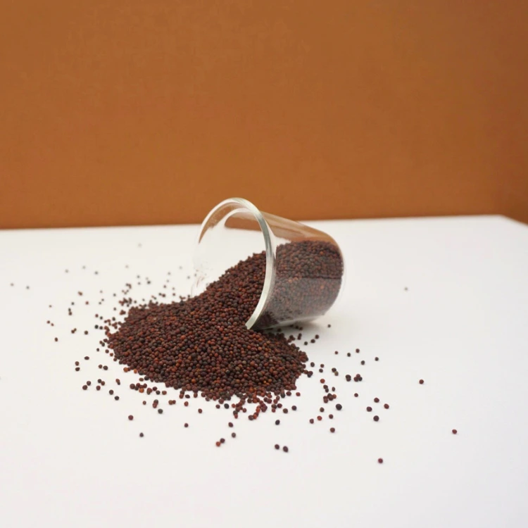micro cress chou rouge.webp