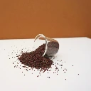 micro cress chou rouge.webp