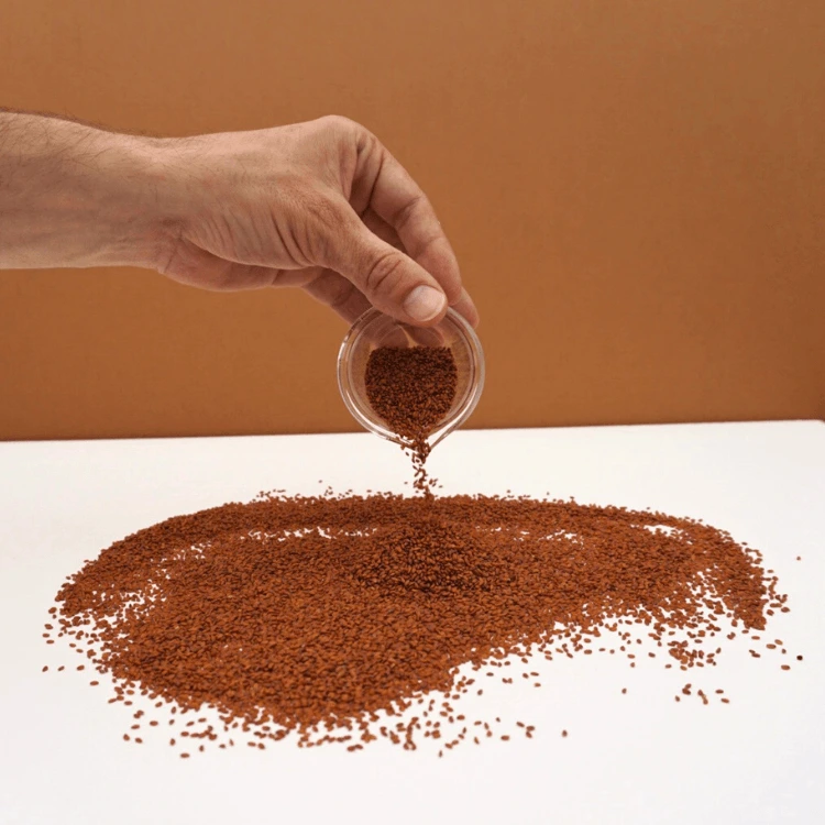 cress cresson micro pousse.webp