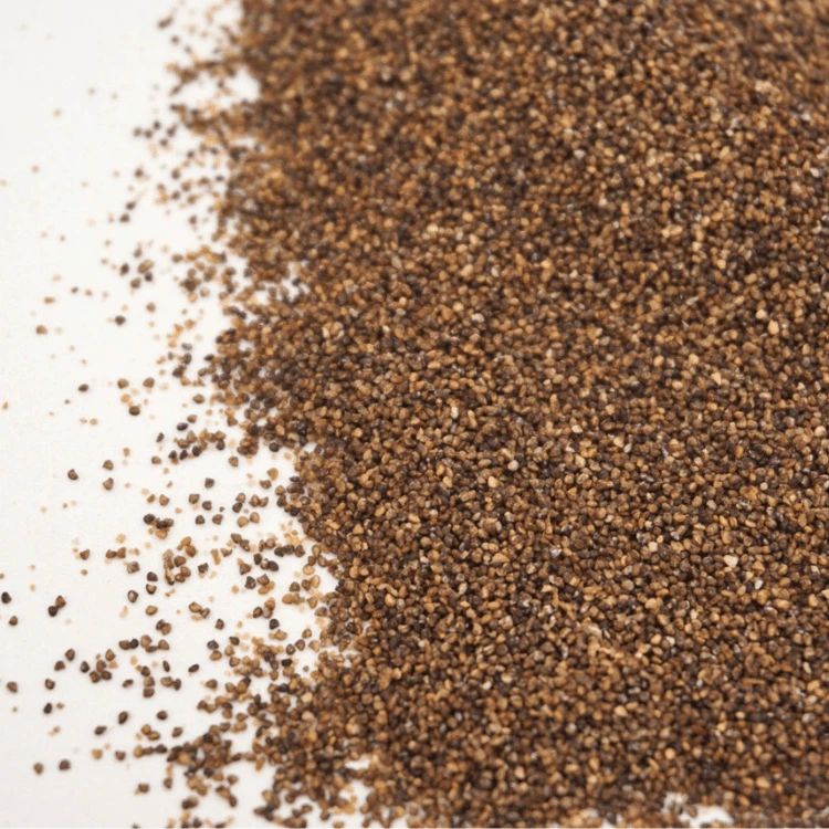 ficoide glacial microgreenj.webp
