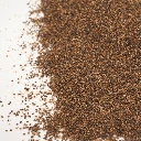 ficoide glacial microgreenj.webp