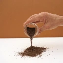 micropousse francaise de ficoide glaciel.webp