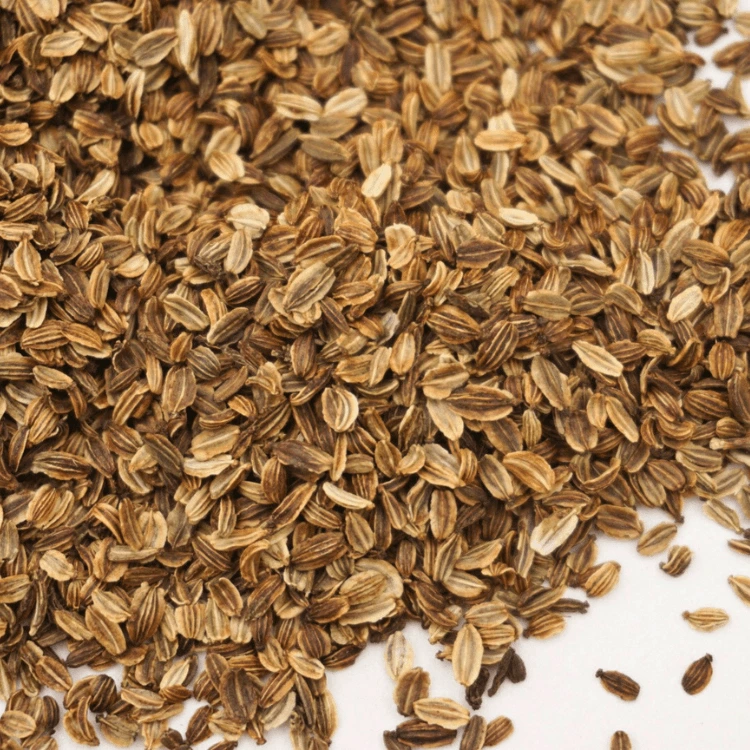 liveche microseed.webp