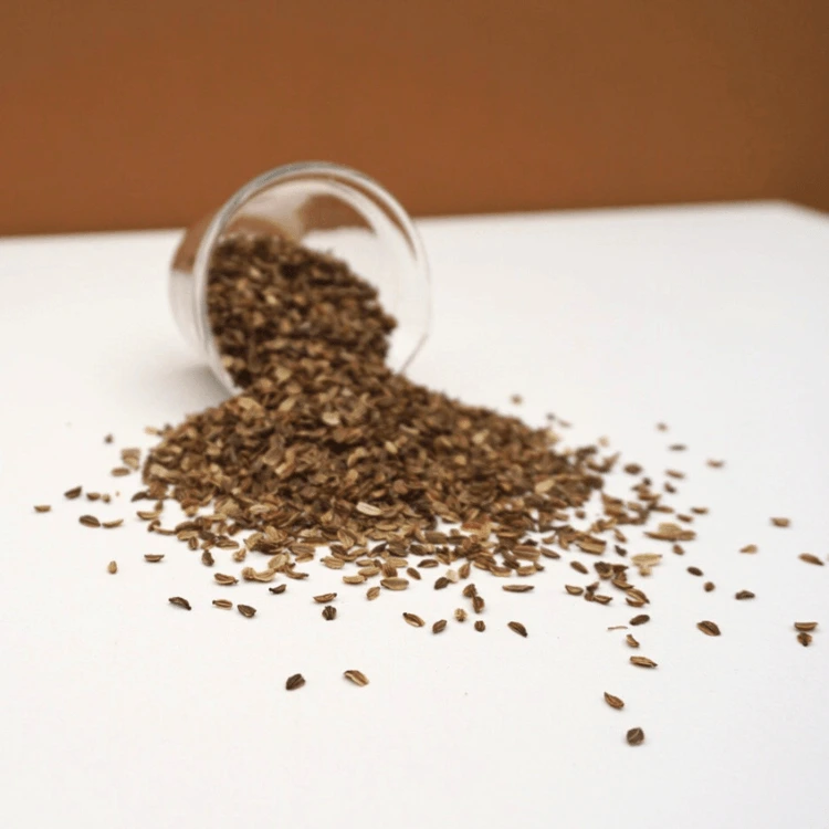 liveche cress micro pousse.webp