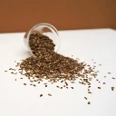 liveche cress micro pousse.webp