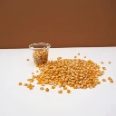 microseed graines de mais colettte.webp