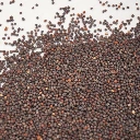 mizuna verte microgreen.webp