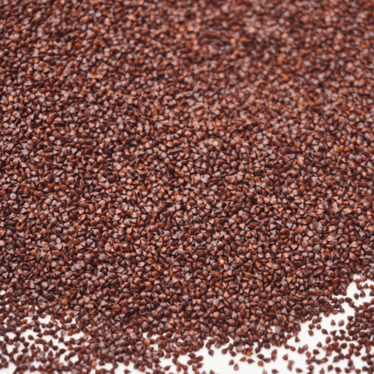 Oseille graine microgreen,.webp