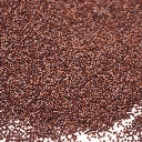 Oseille graine microgreen,.webp