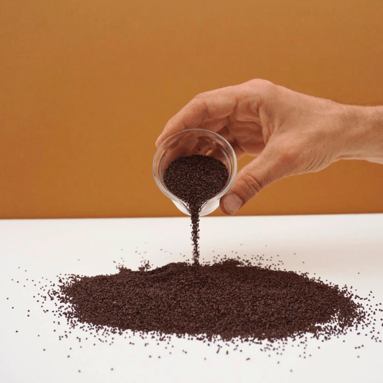 Oseille graines de micro pousse microseed.webp