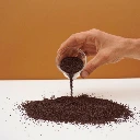 Oseille graines de micro pousse microseed.webp