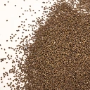 microseed oxalis graines.webp