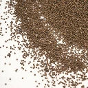 micro graines oxalis seed.webp