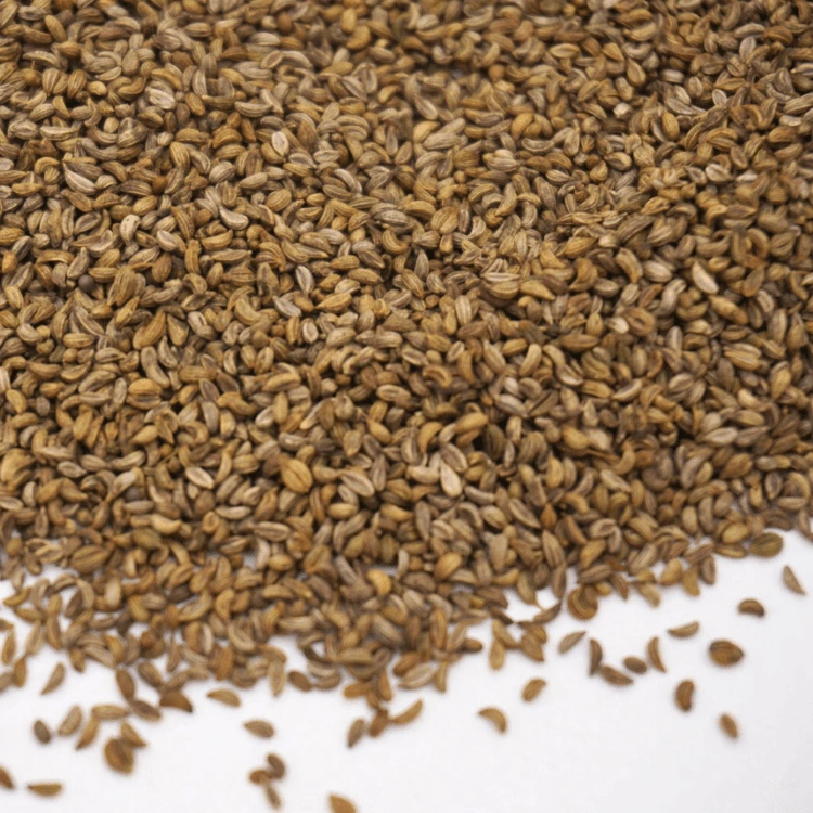 microseed mersil.webp
