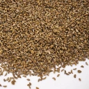 microseed mersil.webp