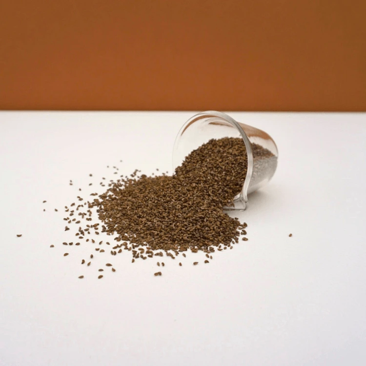 cress persil graines colette.webp