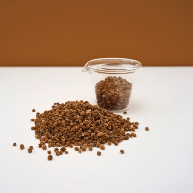 microgreen pimprenelle.webp