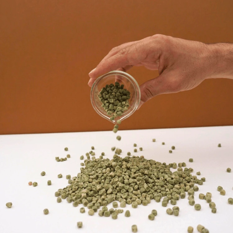 graines de pois vert non vrillé seed.webp