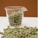 pois vert vrillé micro pousses colette.webp