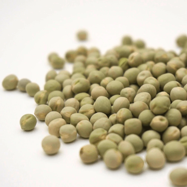graines de pois vert vrillé cress.webp
