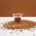 radis sangria colette graines microgreen.webp
