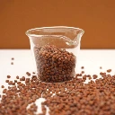 radis daikon graine pour micro pousse.webp