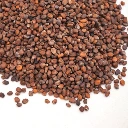graines de micro pousse francaise de radis pourpre.webp